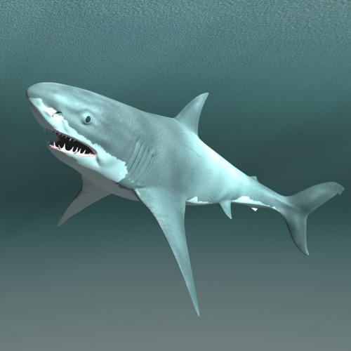 Rigged Bull Shark preview image